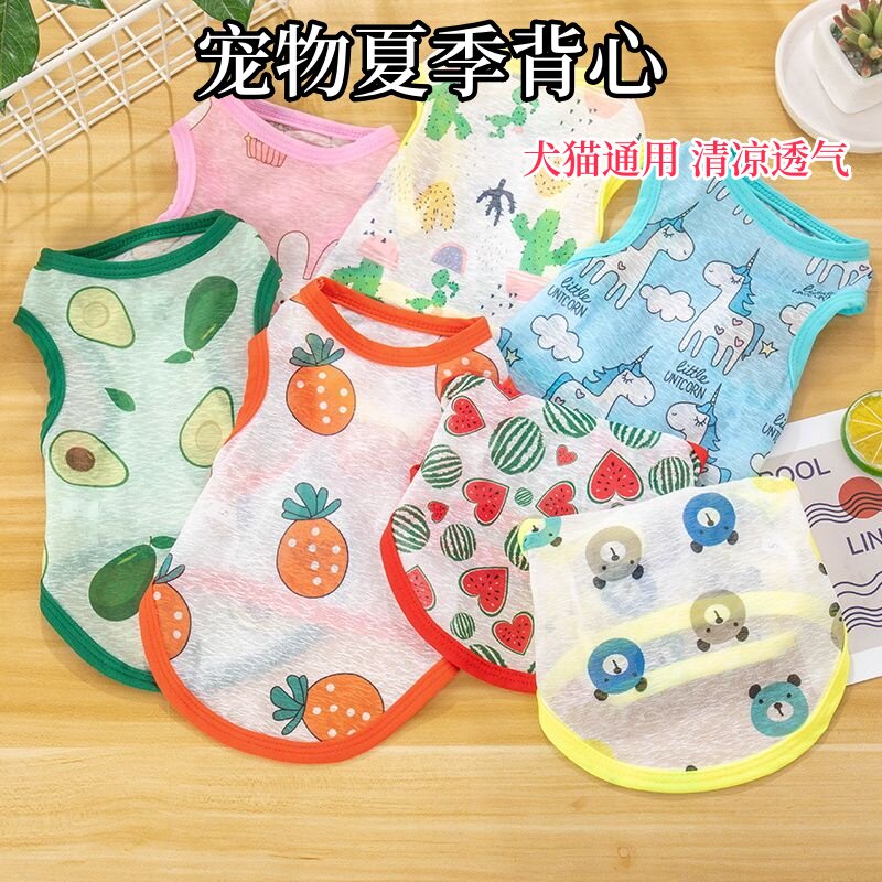 猫咪衣服夏季薄款网纱可爱小熊背心春秋季布偶金渐层小猫狗狗衣服