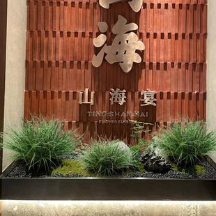 网红现货蒲草仿植物造景摆件假草堆景观芦苇草灌木真店AL677202铺