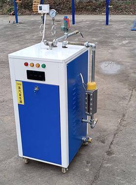 梁蒸汽养护器器燃油电加热发生柴保节能锅炉混凝土NUR蒸汽桥养环