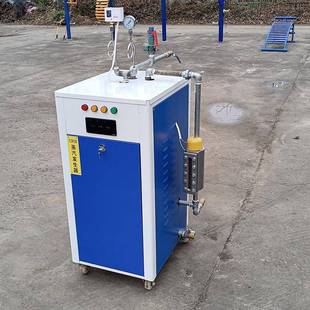 梁蒸汽养护器器燃油电加热发生柴保节能锅炉混凝土NUR蒸汽桥养环