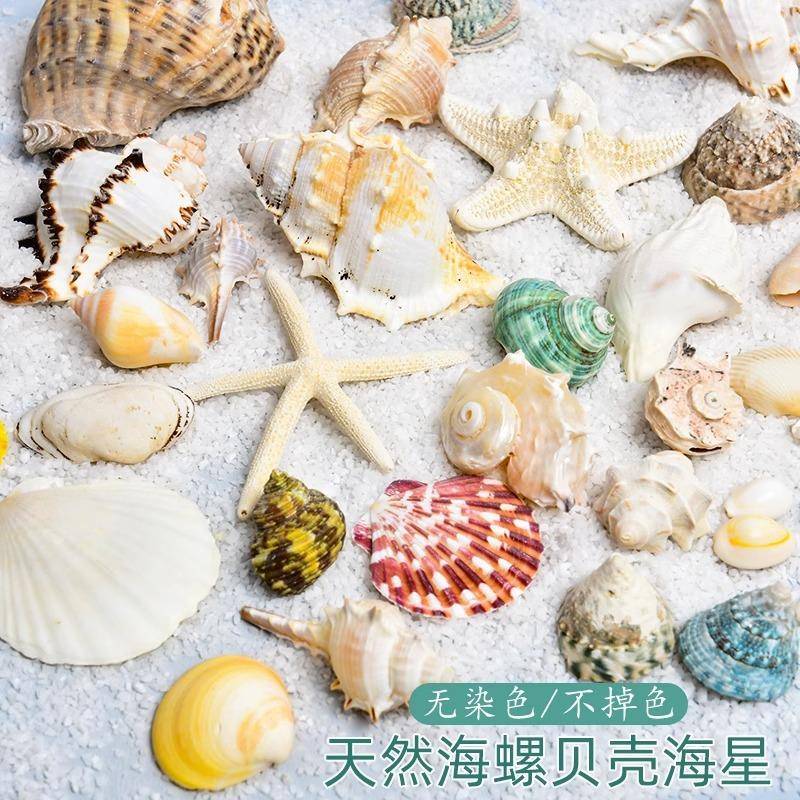 创意手工制作天然贝壳风铃材料包diy女生礼物儿童挂饰门吊饰卧室
