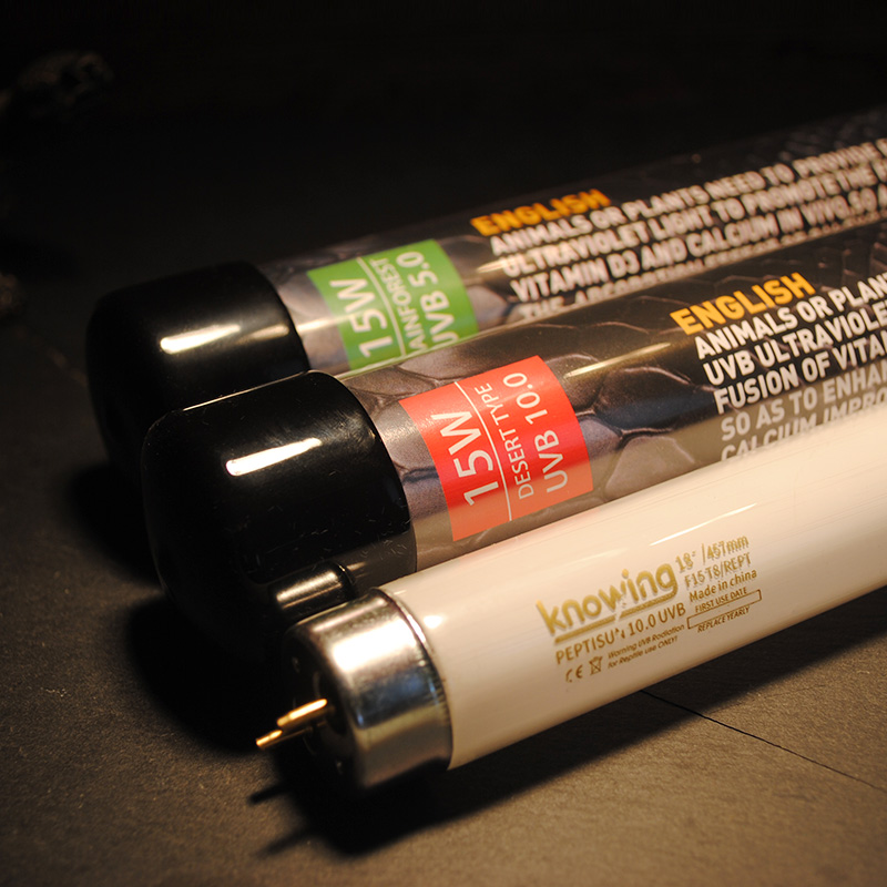 极速诺茵T8爬虫UVB灯管10.0陆龟鬃狮蜥蜴爬宠R补钙灯多肉补光紫外