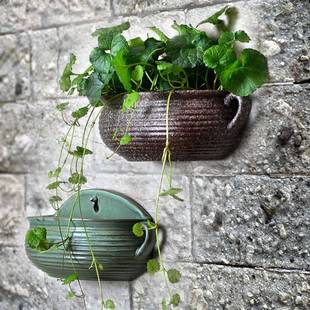 极速壁挂花盆免打孔陶瓷创意阳台吊兰H绿萝悬挂式 多肉花盆墙壁装