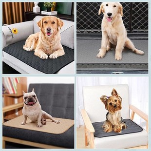 Washable Pet SAbsorbent Training Super Pad Mat 极速Dog Pee