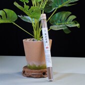 极速线香20g澳洲老r檀香薰蜡片香片香包香薰蜡烛香氛片香包天然