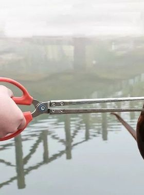 极速Eel Clip Paper Loach Iron Pliers MultifunctionalW Stainl