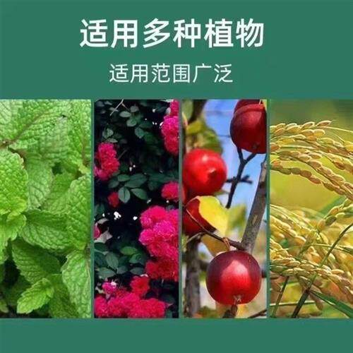 新品养花黑水土壤活m化剂复合菌种花果香活化宝通用型改良剂士壤