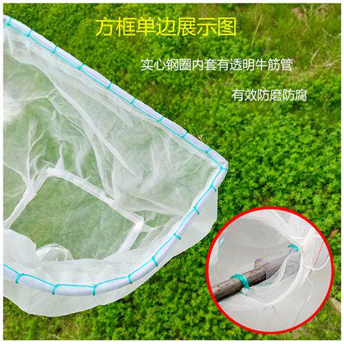 极速双框头c防磨木把捞网100目小眼尼龙网抄捞虾网泡沫鱼粪速干不