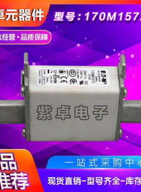 170M1750 170M1751 170M1752 170M1753 170M1754巴斯曼快速熔断器