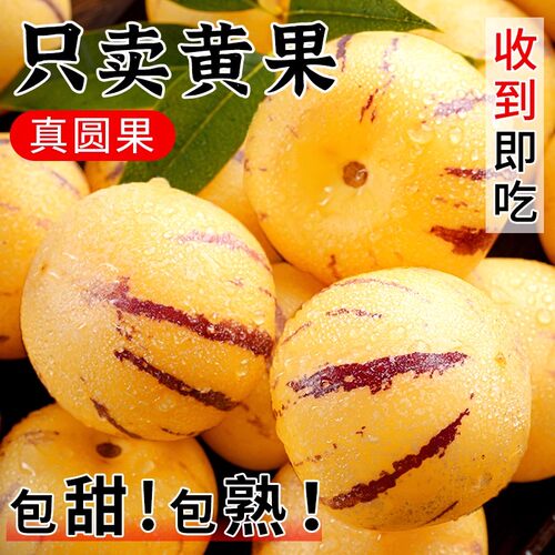 【黄果黄肉】云南石林人参果新鲜水果黄心圆果超甜大果整箱包邮