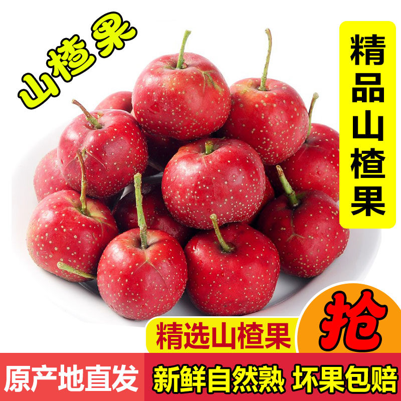 新鲜山楂果5斤山楂新鲜山楂果水果山里红大金星冰糖葫芦山楂包邮