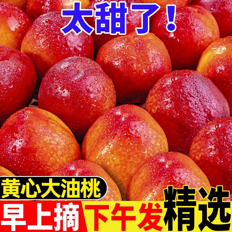 黄心油桃新鲜桃子应季水果农家自种现摘现发3斤5斤脆甜多汁桃
