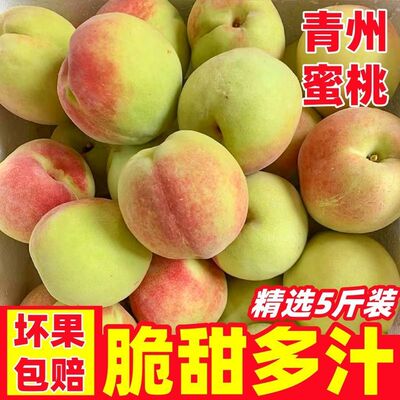 山东青州蜜桃新鲜当季农家水果现摘冬桃脆甜离核毛桃青皮桃子整箱