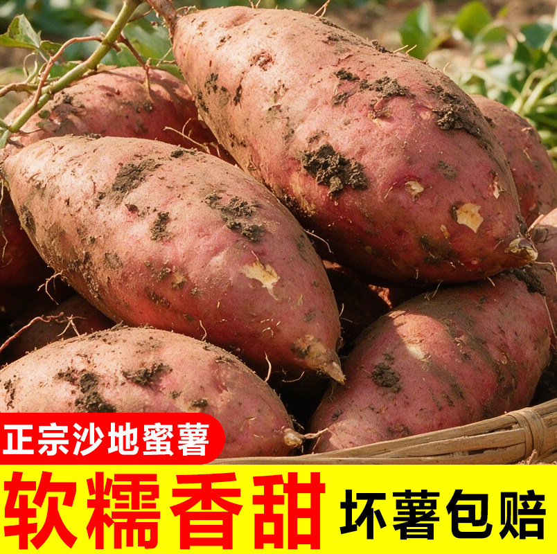 新鲜黄心正宗蜜薯超甜糖心红心番薯地瓜批发板栗山芋红薯沙地现挖