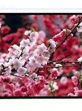 极速全新莱特斯 LTSu 4:3白塑100英寸电动投影幕布