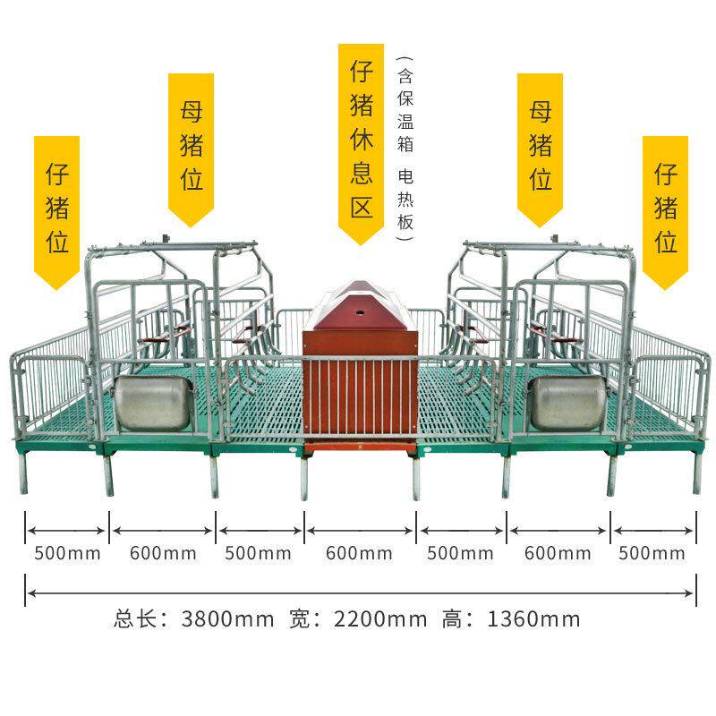 极速养猪场母猪单体产床现货 出售C双体母猪产床设备 双向母猪产