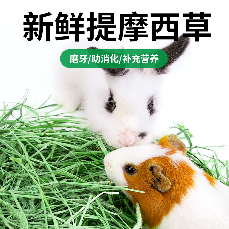 极速提摩西草干草兔子荷兰猪饲料B兔粮牧草提木西龙猫草粮草料食
