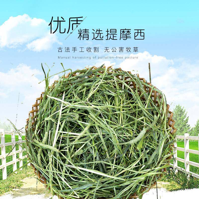 极速提摩西草干草 2023t新牧草兔粮龙猫草荷兰猪饲料豚鼠提草500g,宠物/宠物食品及用品,兔兔干草,淘宝优惠券,粉丝福利购,淘宝优惠卷