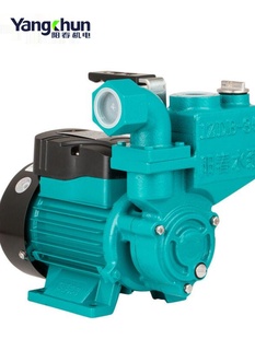 自吸泵家用水泵自来水管道增压泵220V深水井抽水泵高扬程清水泵1Z
