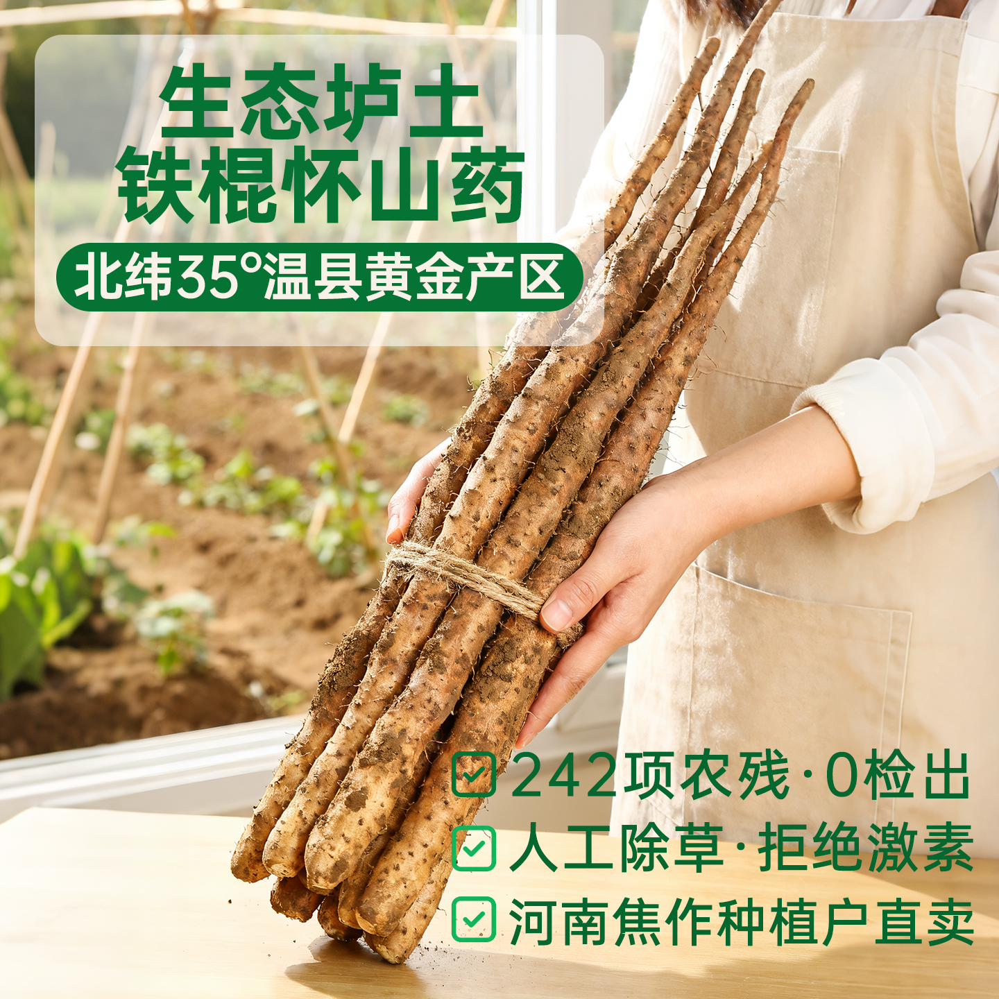 正宗河南焦作温县垆土铁棍山药新鲜5斤铁杆淮山怀山药准铁棒铁桂