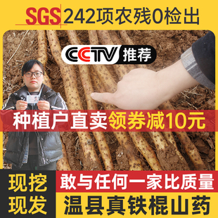 正宗河南焦作温县垆土铁棍山药新鲜5斤铁杆淮山怀山药准铁棒铁桂