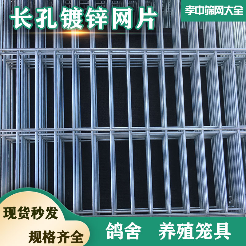 长孔镀锌防锈铁丝网片厂家生产养殖加粗加密热镀锌方格钢丝焊接网