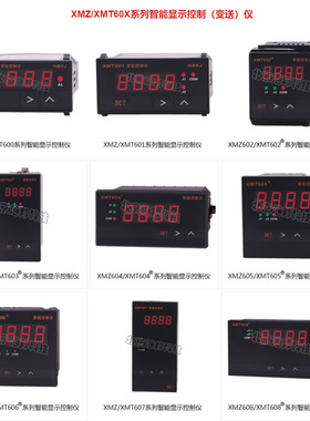 XMZ605 XMZ606 XMZ607  XMZ608智能显示控制 (变送)仪北京汇邦HBK