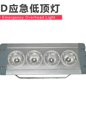 LED嵌入低顶灯12w 地铁月台防水地沟灯 应急市电三防壁灯NFE9121