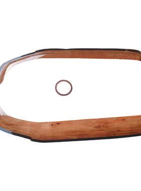 VOE FGJ011 Door Windshield 车门挡风条 FM4 FMX FH4 FH16