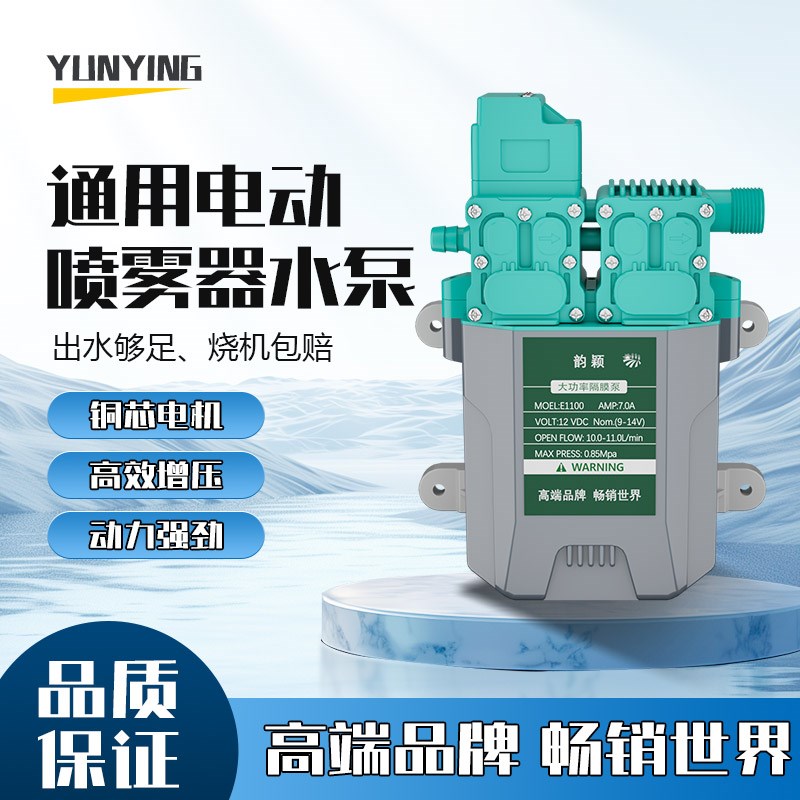 电动喷雾器高压泵12ov电机马达配件大全通用打药机大功率双核水泵