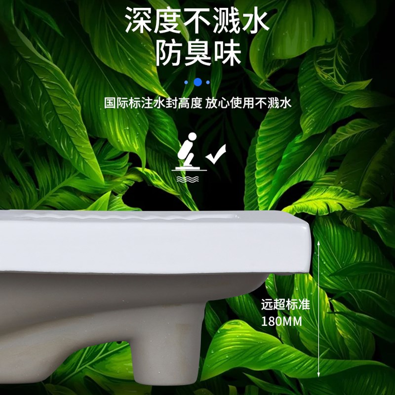 蹲便器冲水箱整套卫生间存水弯蹲坑式大便盆陶瓷防V臭带挡板大尺