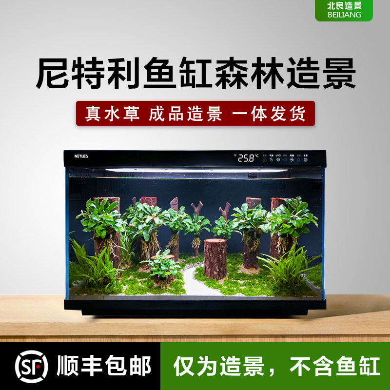 鱼缸造景适配尼特利小米家鱼缸成品森林造景沉木石头水草造景套餐