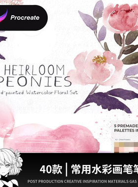 常用水彩procreate笔刷水墨国画渲染晕染肌理水痕淡彩iPad插画