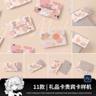 6.3x10礼品卡贵宾卡会员卡VIP卡套设计贴图psd样机素材展示效果图