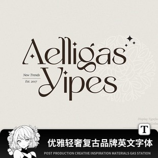 优雅轻奢女性复古艺术杂志MACWIN英文字体安装包PSAI设计素材