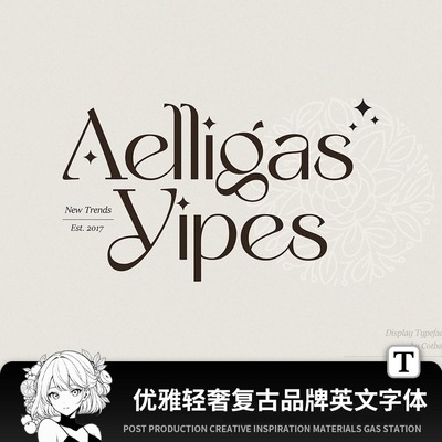 优雅轻奢女性复古艺术杂志MACWIN英文字体安装包PSAI设计素材