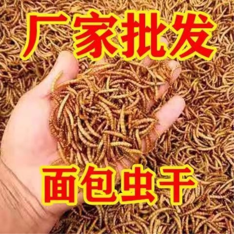 八哥蜜袋鼯仓鼠的优质主粮锦鲤零食面包虫干厂家直销雷龙鱼