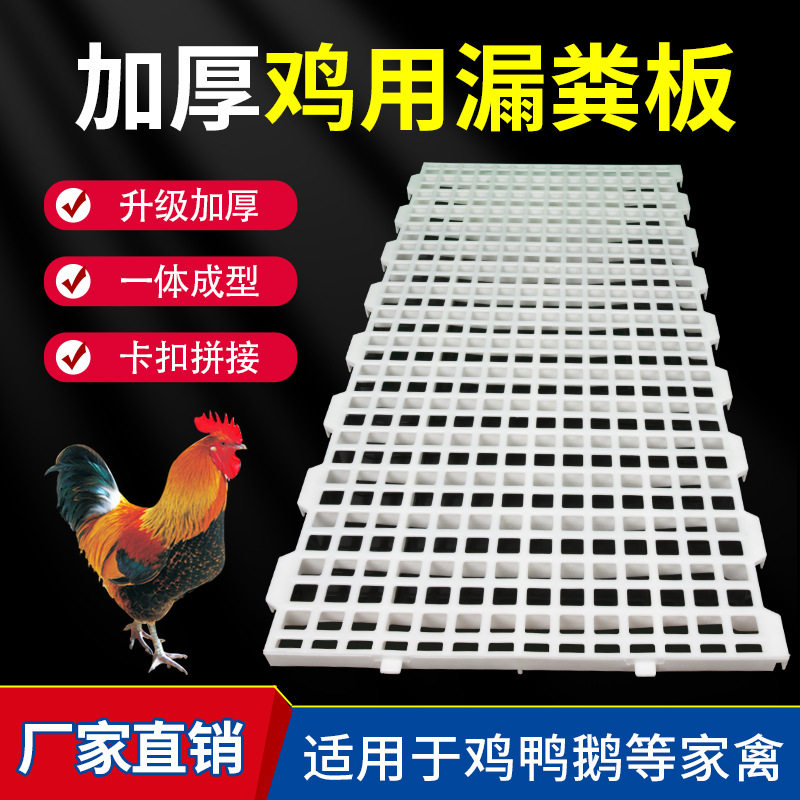 鸡用塑料漏粪板鸡舍漏粪鸡鸭鹅家禽漏屎网格接粪板漏缝板养鸡设备