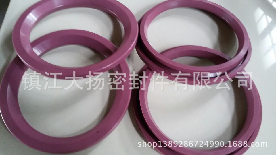 厂家直销质量保证 圆顶阀密封圈插入式 DVS DN200(耐特高温)