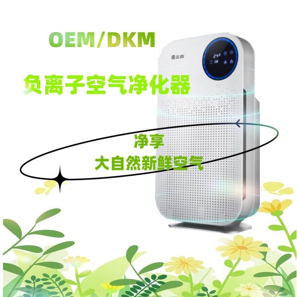 家用负离子空气净化器JH-206空气过滤净化风机可出口除甲醛