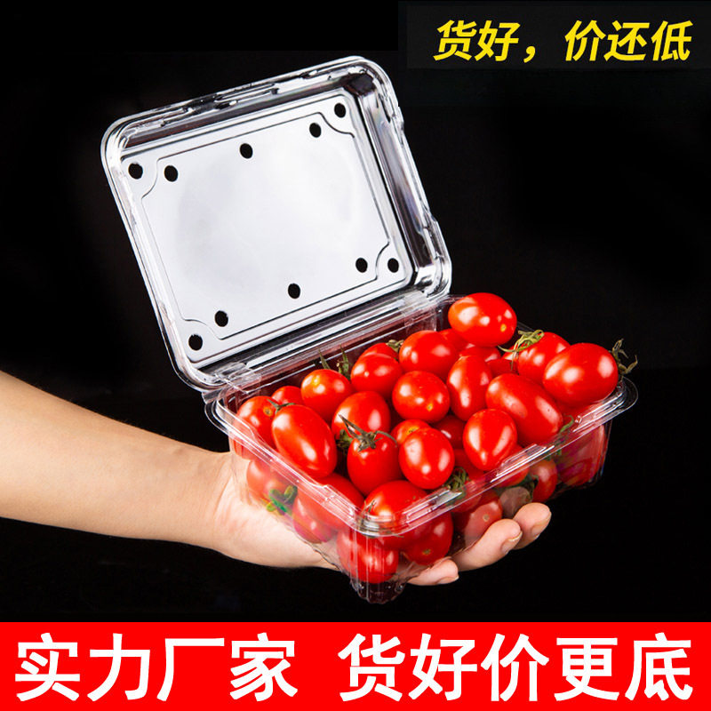 一斤装透明塑料盒水果店500M带盖葡萄草莓打包盒一次性水果包装盒