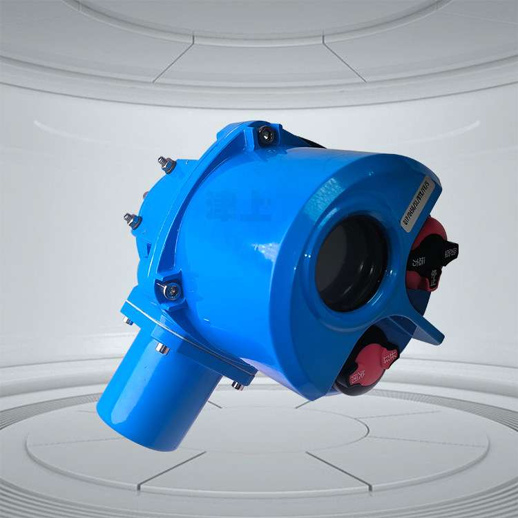 伯纳德 津上 矿用一体式隔爆型电动装置 QB05 QB10 QB15