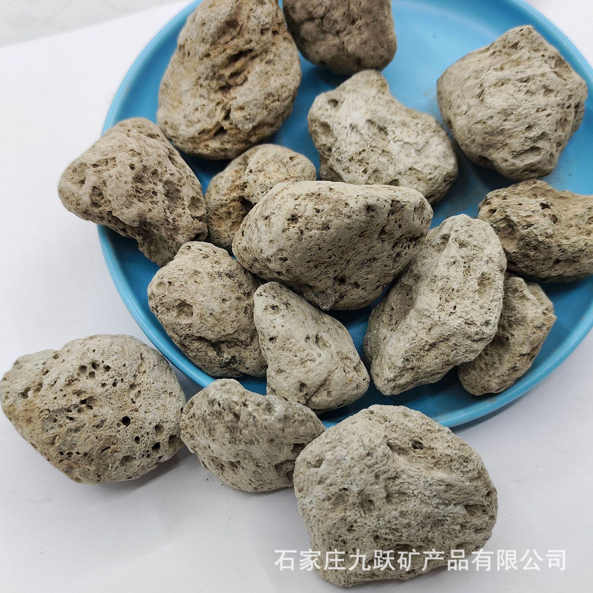 供应造景多孔浮石基质栽培园艺透气铺底轻石 水质过滤净化用轻石