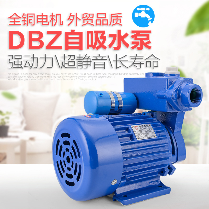 DBZ电动单相自吸泵 农用家用增压泵 闽东水泵 口径25MM耐用