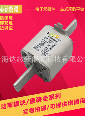 170M6008 170M6009 170M6010 170M6011全新巴斯曼熔断器,保险丝