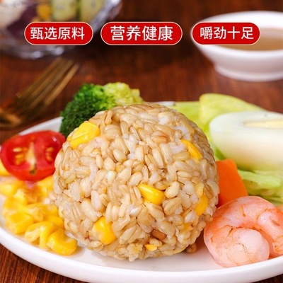 代餐减肥餐食品低脂低卡低热量0反式脂肪酸无添加剂糙米糖尿人专用奥尔良鸡肉燕麦饭团加热即食粗粮早晚餐半成品饱腹轻食低负担