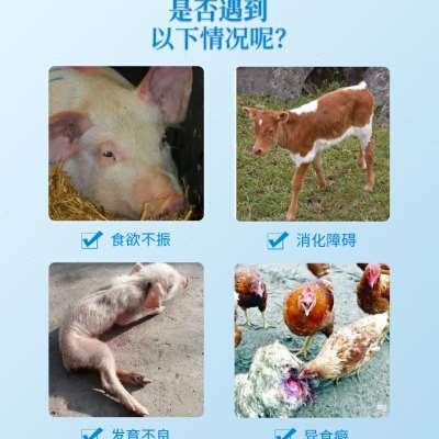 厂家饲料盐氯化钠养殖专用猪牛羊盐饲料添加剂猪牛羊鸡鸭鹅兔兽用