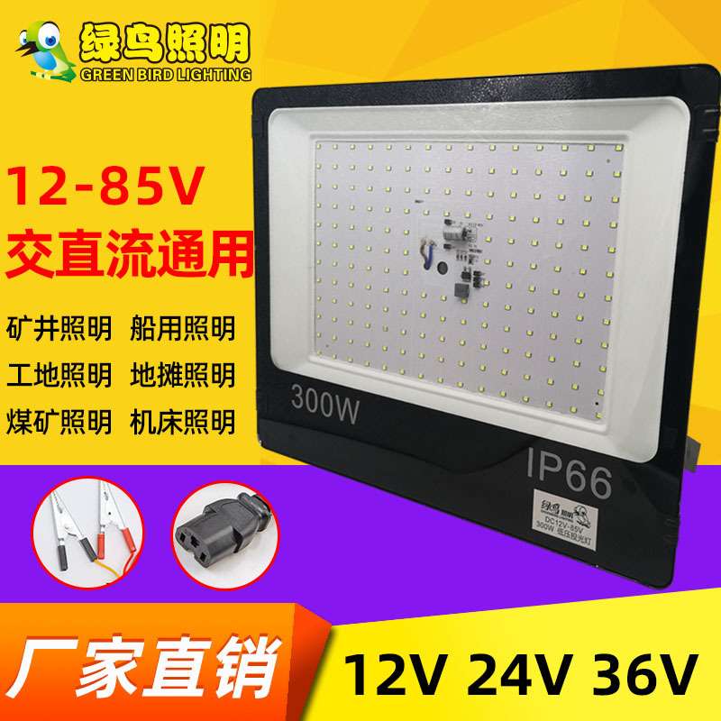 led12V低压投光灯36V夜市地摊渔船隧道灯24V照明50W100W