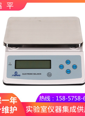 上海越平YP100001电子天平
