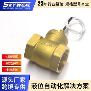 液位开关干簧管感应缺水保护水流量开关FS-DN40TDB挡板式水流开关